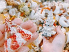 -东戴河风景区-止锚湾