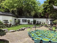 -上海醉白池公园