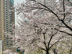 -茶颜悦色(花园道店)