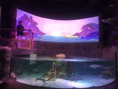 -沈阳海洋探索中心