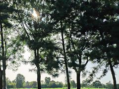 -汉长安城未央宫国家考古遗址公园