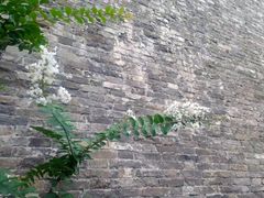 -东华门大街小区