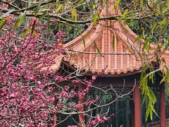 -虞山风景区