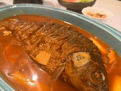 红烧黄河鲤鱼-阿五黄河大鲤鱼(海尚店)