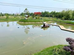 -大队长大灶鹅