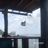 崔了三次，菜才慢慢上来
