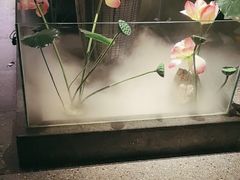-鸽子侯·家宴·平价海鲜(市图书馆店)