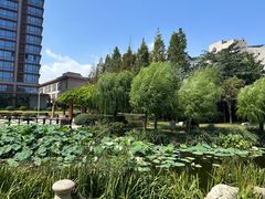 -丁家河公园