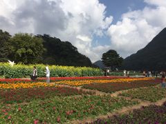 -广州市石门国家森林公园