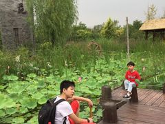 -武清南湖绿博园