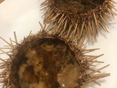 -海胆小馆(东北水饺·春柳店)