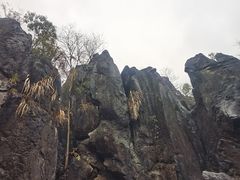 -玉石林风景区