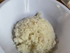-Tangled Tree Tavern 老藤树食栈