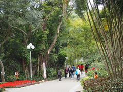 -人民公园(罗湖区)