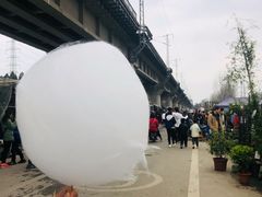 -三圣花乡旅游区