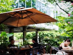 -缘生态云南菜·野生菌庭院餐厅(华侨城店)