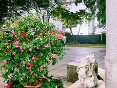 -北京邮电会议中心