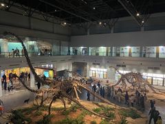 -自贡恐龙博物馆