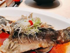 -侨美食家·40年地道粤菜(珠江新城店)