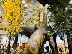 -湖南省地质博物馆