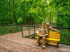 -黄海国家森林公园