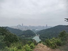 -桃花岭景区