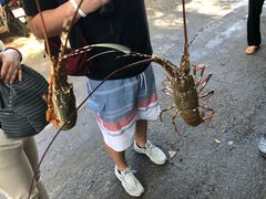 -拉威海鲜市场