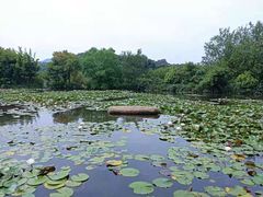 -白马涧龙池景区