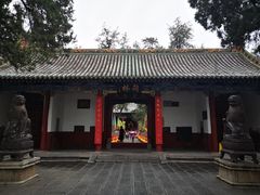 -关林