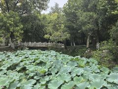 -水绘园