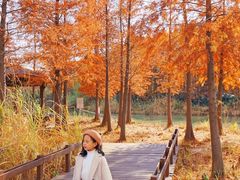-梁鸿国家湿地公园