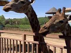 -鄂尔多斯野生动物园