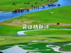 -呼伦贝尔大草原