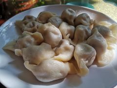 酸菜猪肉饺子-祝家饺子馆