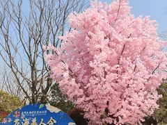 -苏州太湖国家湿地公园