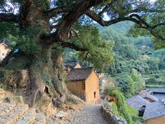 -杨家堂村