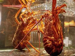 -新荣记(BFC外滩金融中心店)