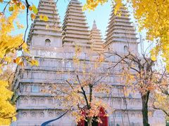 -北京石刻艺术博物馆(五塔寺)