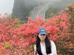 -大围山国家森林公园