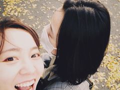-三里屯东五街银杏大道