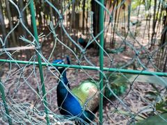 -南山风景名胜区