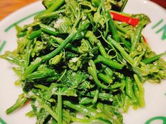 清炒丝瓜尖-一坐一忘云南菜(嘉里中心店)