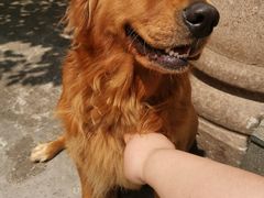 -古都梅按摩足浴(世界广场店)