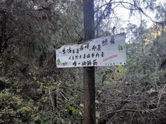 -青龙山生态文化旅游区(慈云寺)