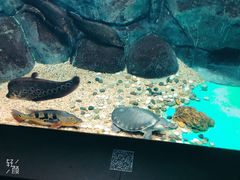 -常州海昌海洋探索馆