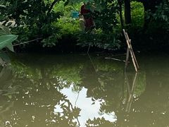 -南汇新场正宗水蜜桃采摘
