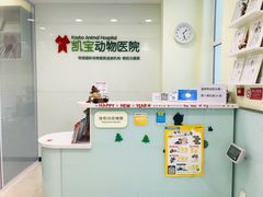 -悦宠凯宝动物医院·牙科·皮肤科(朝阳北路店)