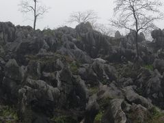 -千岛湖石林