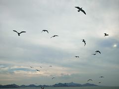 -海驴岛(荣成市)