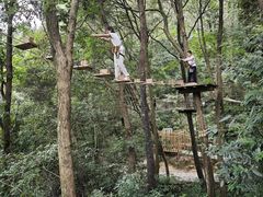 -衢州大荫山丛林飞越探险乐园